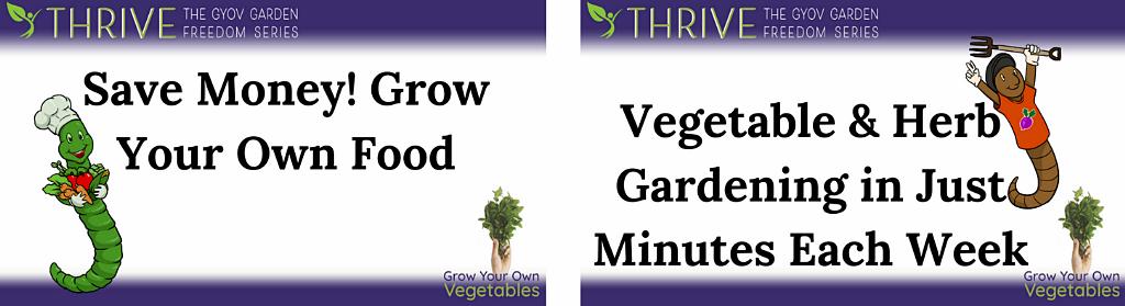 Vegetable and herb gardening